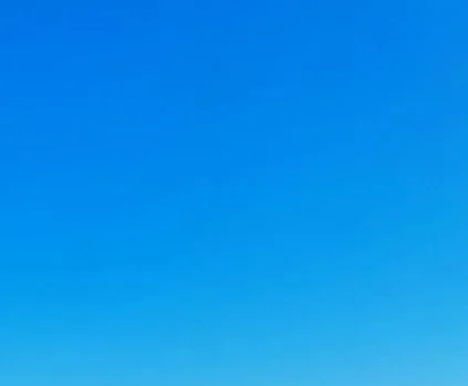 

Out of stock Out of stock