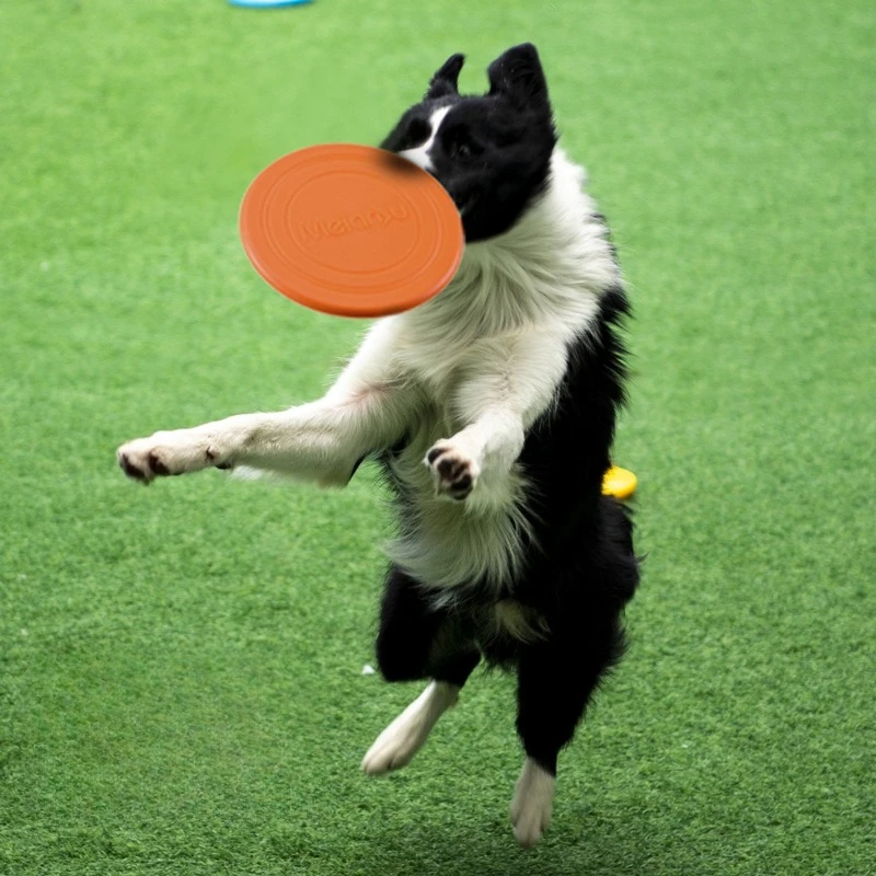 Fliegende Scheibe für Hunde, interaktives, leichtes fliegendes Scheiben-Hundespielzeug aus weichem Gummi für kleine und große Hunde – schwimmt im Wasser und sicher auf den Zähnen