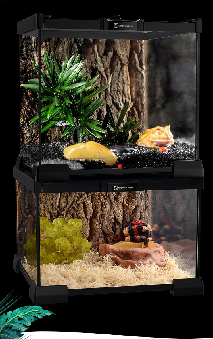 Ecological landscape tank crawler glass tank horned frog spider guard palace lizard tortoise breeding box box beetle rainforest