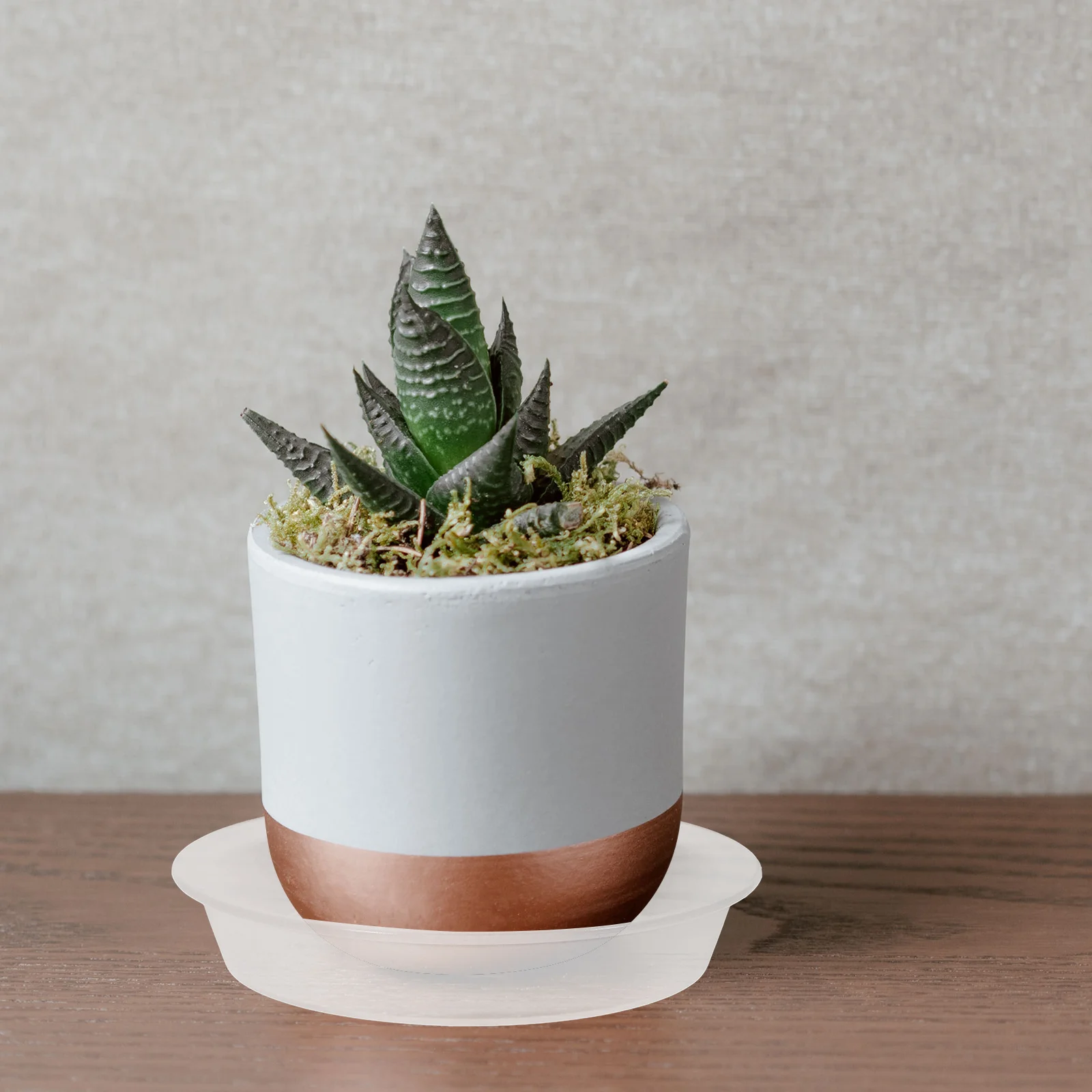 

10pcs Flower Pot Tray Plastic Planter Tray Clear Durable Saucer For Plants Water Resistant Garden Use Large Capacity