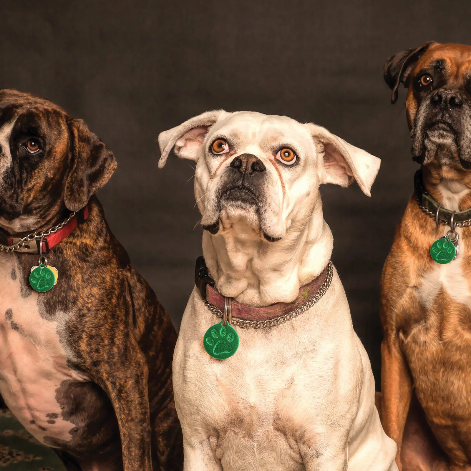 

3pcs Id Tags Dog Identity Tag Metal Hanging Boards For Dogs Cats Personalized Pet Collar Pendant Name Address Tag Pet Supplies