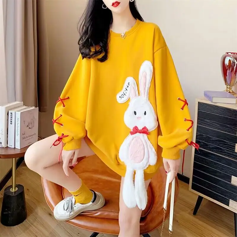 New Rabbit Fleece Hoodies 2023 Oversized Women Casual Sweatshirt Autumn Winter Long Sleeve Fleece Hooded Female Pullovers Tops