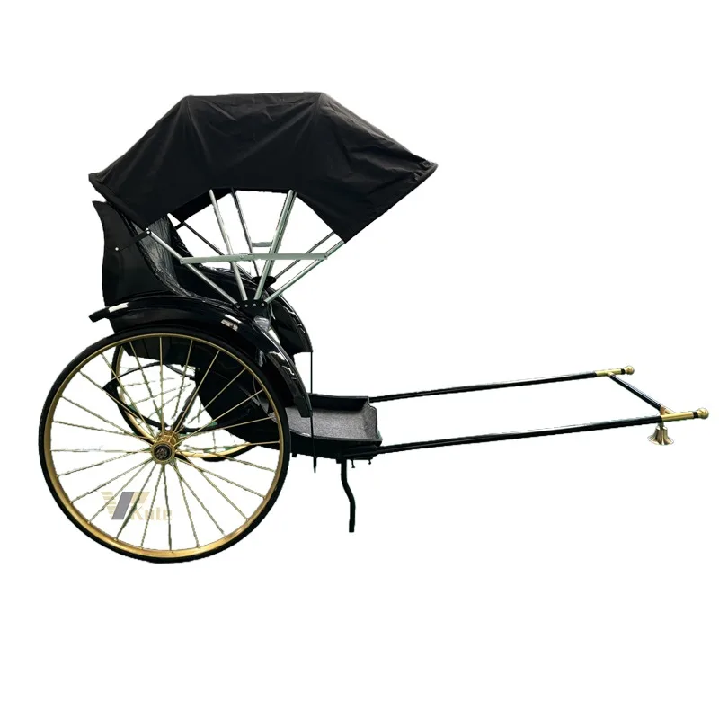 

Four Wheels Special Transportation Sightseeing Royal Horse Carriage Wagon