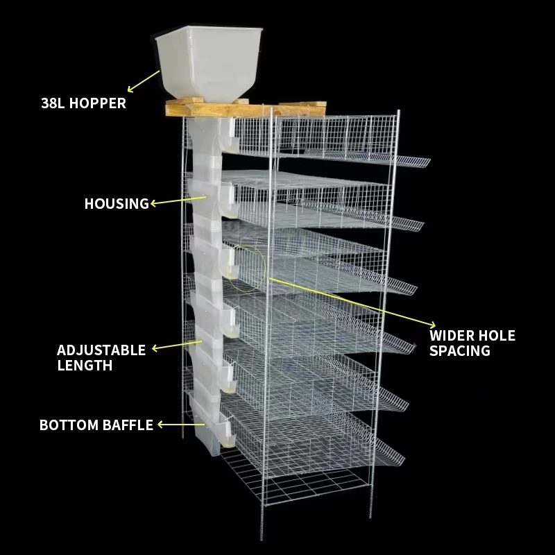 Automatic Quail Cages with Feeders, Waterers, and Egg Collectors; Vertically Stackable Racks with Manure Removal Sys(Customized)