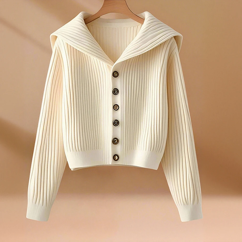 

Business Commute Style Long Sleeve Round Neck Sweater Fitted Design Straight Tube Sleeves No Decoration Required