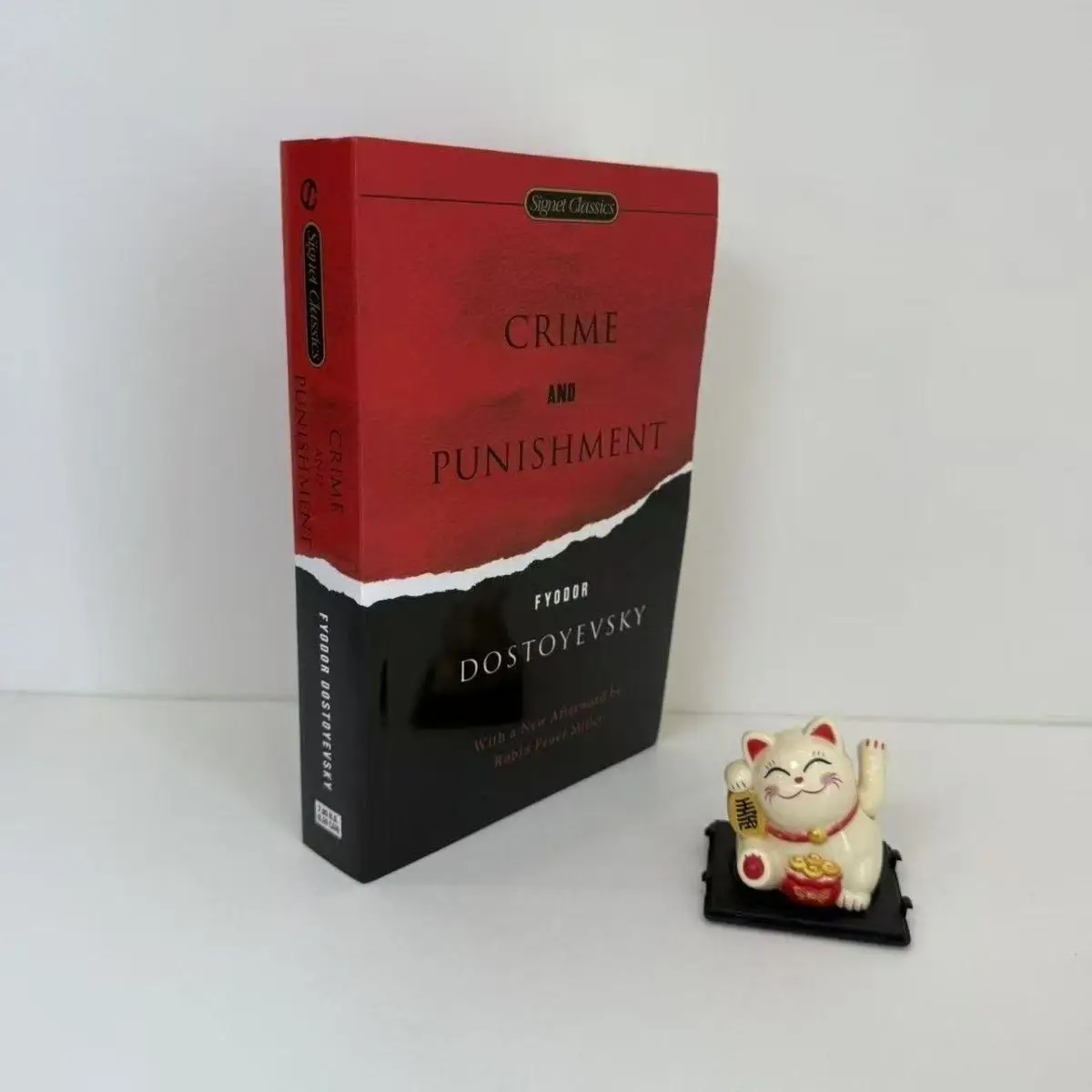 

Книга в мягкой обложке по преступлению и наказанию на английском языке