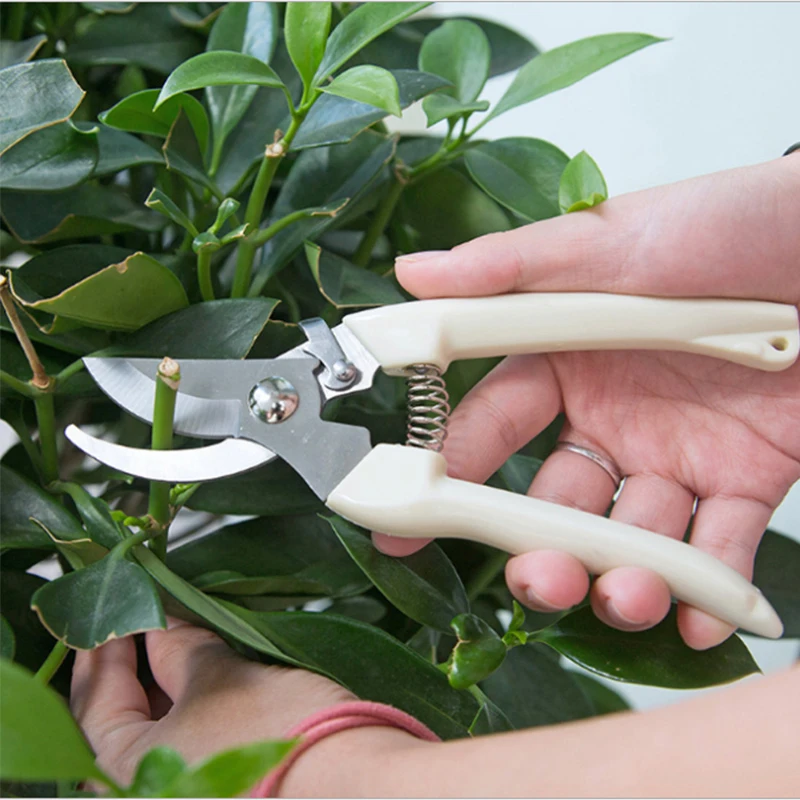 Drtools-tijeras de podar de acero inoxidable para el hogar, juego de herramientas antideslizantes para cortar árboles y jardinería, 17cm