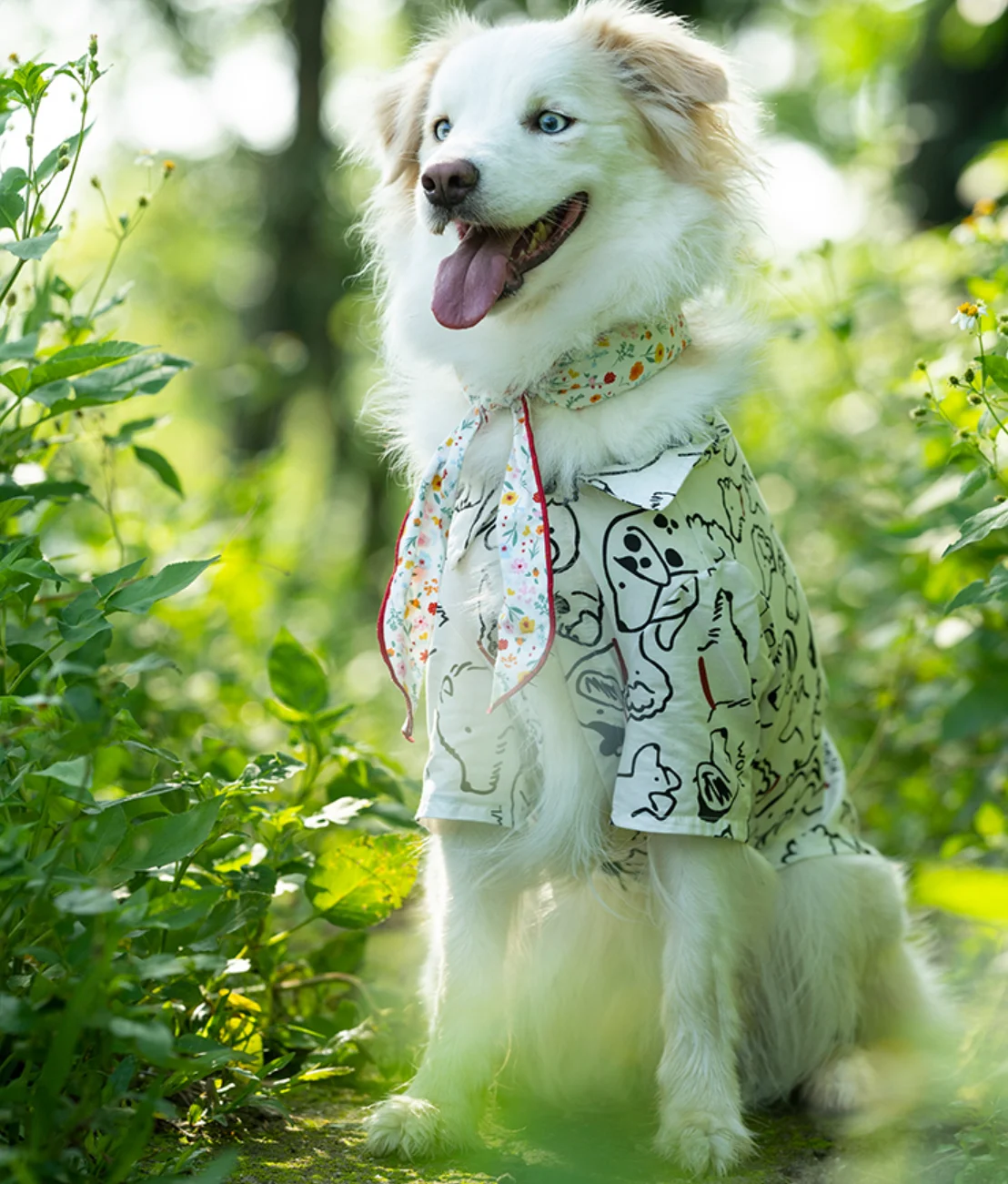 Spring Summer Cotton Lightweight Dog Shirt | Trendy Anti-dirt Anti-shedding Sun Protection Apparel for Large Dogs Border Collie