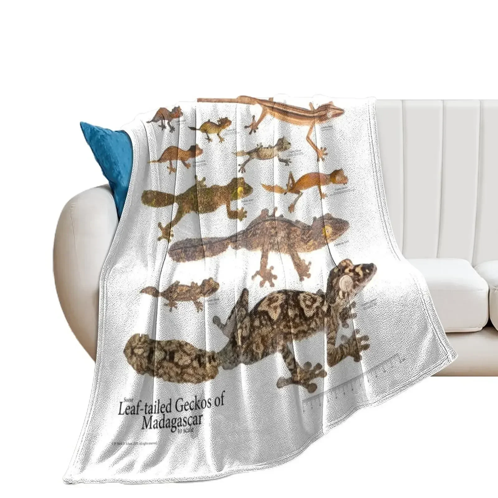 

Some Leaf-Tailed Geckos of Madagascar to Scale, Version 1.0 Throw Blanket For Decorative Sofa Weighted Blankets