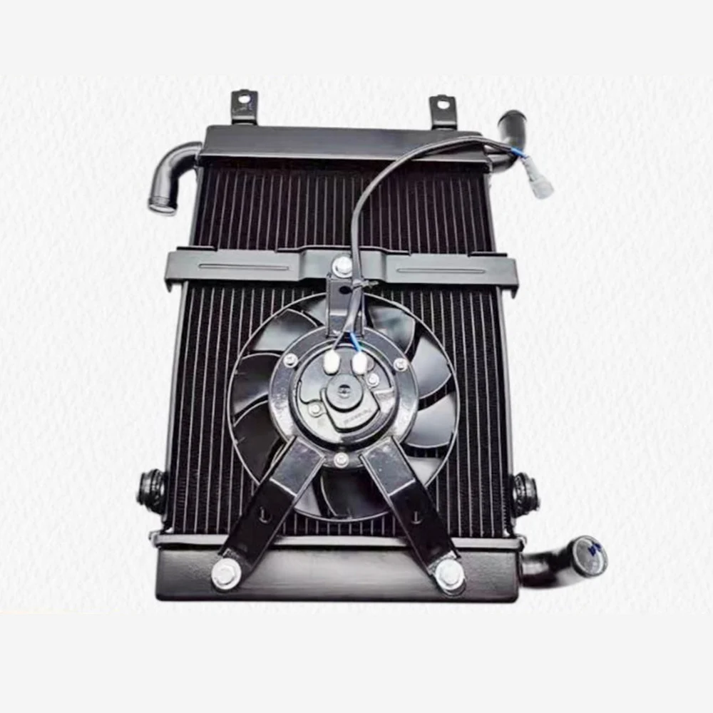 original water tank radiator For Longjia Sixties 250 VICTORIA Sixties 250Si‌ water tank radiator assembly fan