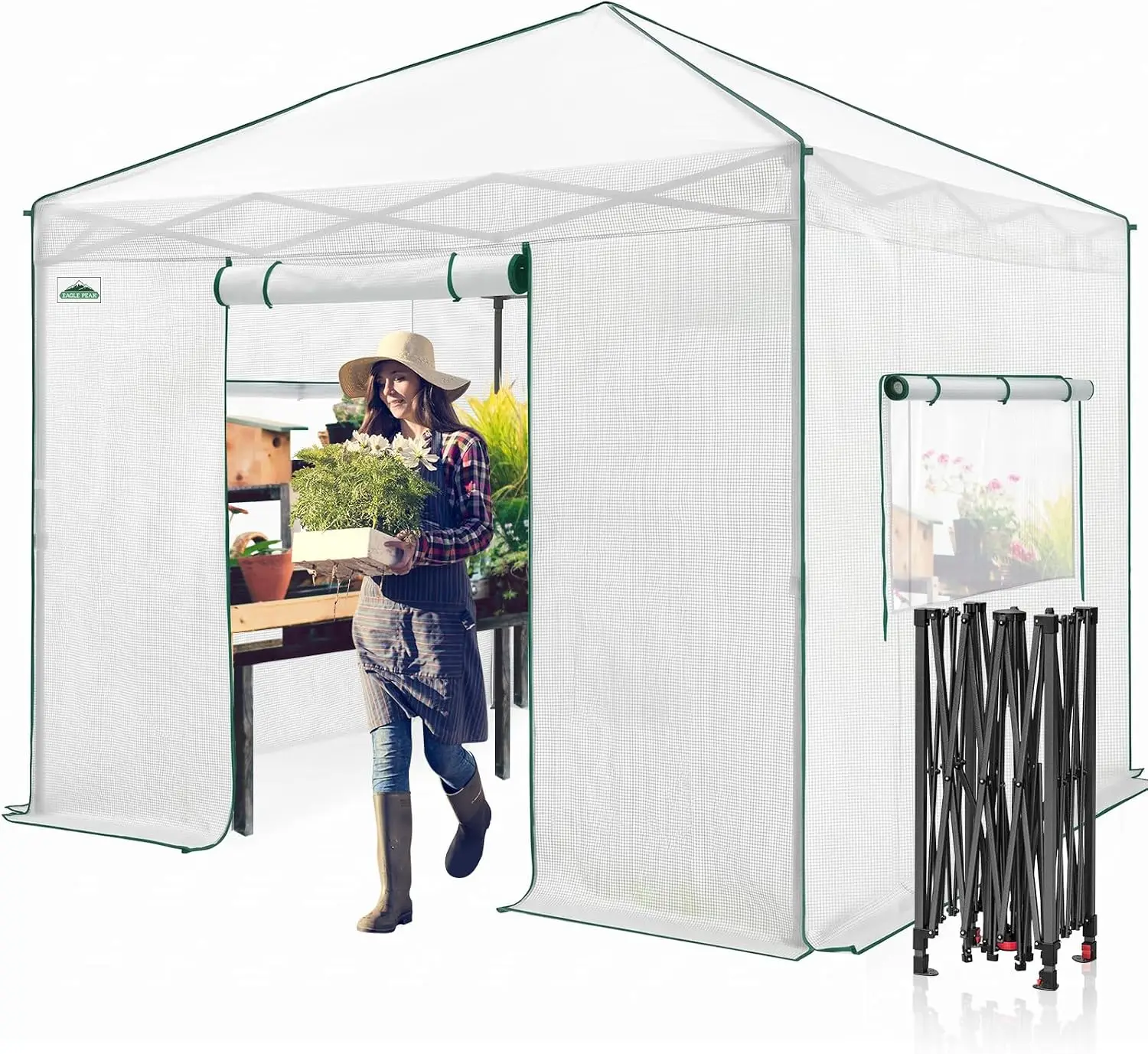 10 by 10 Pop-Up Greenhouse, Quick and Easy Setup, Clear and White