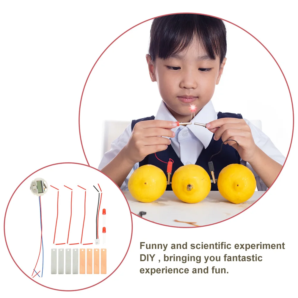 

2 Sets Fruit Experiment Kit Kids Science Physics Batteries Toy Metal Kits Student