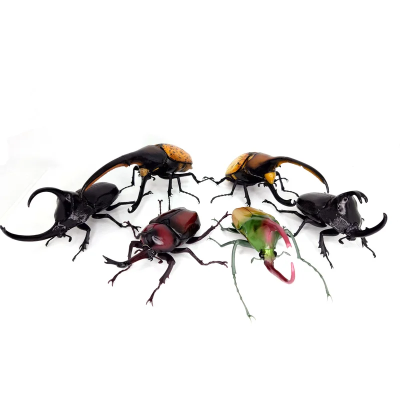 Bandai Twisted Egg Biological Big Picture Beetle Collection 09 Unicorn Fairy Big Dipper Simulation Insect Ornament In Stock