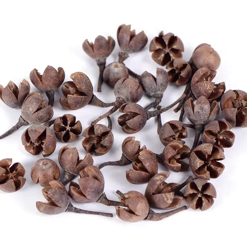10pcs Dried Cross Plant Fruits Flower For Home Decoration Holiday Candy Boxes Bag Venue Decoration Craft DIY Accessory