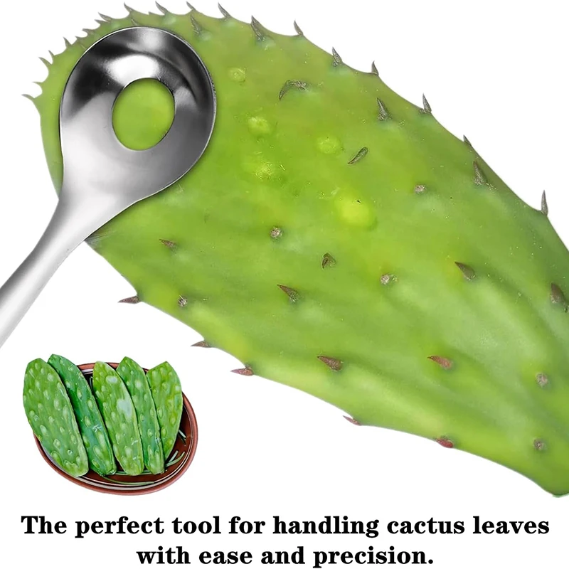 1Pcs Cactus Peeler Meatball Spoon Stainless Steel Nopales Peeling Tools Mutifuctional Spines Peelers Household Kitchen Gadget