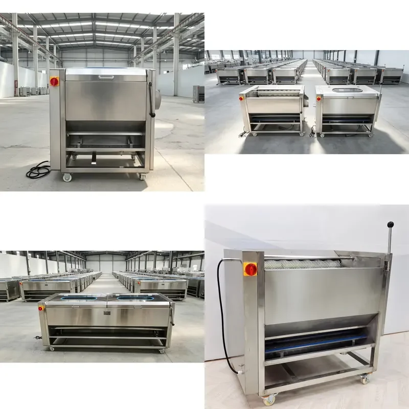 400KG/H Eagle Brush Roller Type Potato Fruit Cleaning and Peeling Machine Stainless Steel Automatic Root Vegetable Cleaning