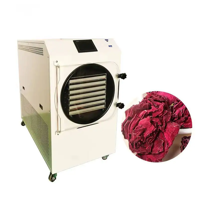 

op-Rated Lab Freeze Dryer: Small Capacity, Precise Control, For Biological Samples, Factory Supply