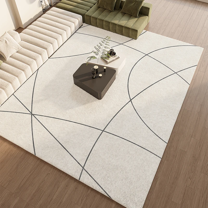 Minimalist Living Room Decoration Carpet Modern Bedroom Bedside Plush Carpets Light Luxury Study Room Cloakroom Fluffy Soft Rug