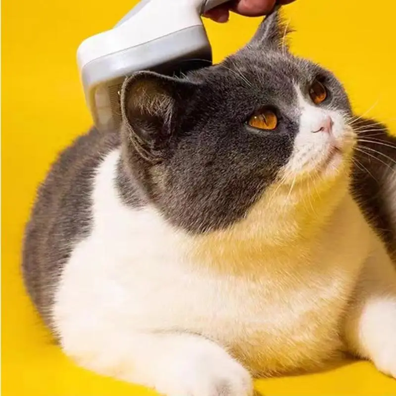 92MF PET Sedding Comb Удаление волос Comb Sceplic