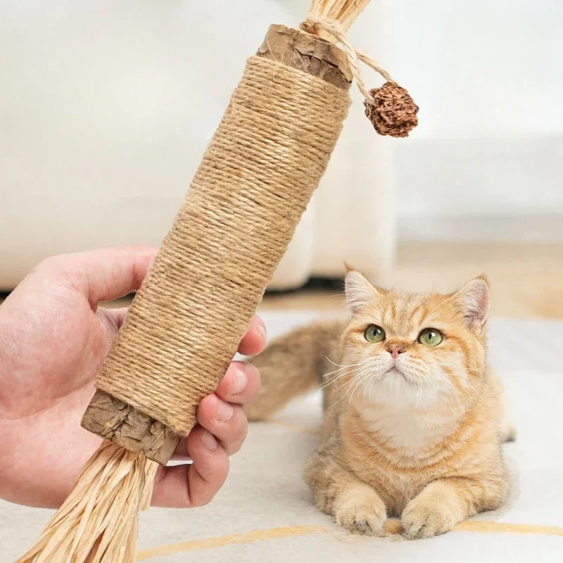 Catnip Cat Toys Natural Pet Cat Snacks Stick Cleans Tooth Removers Hair To Promote Digestion Kitten Chew Toy