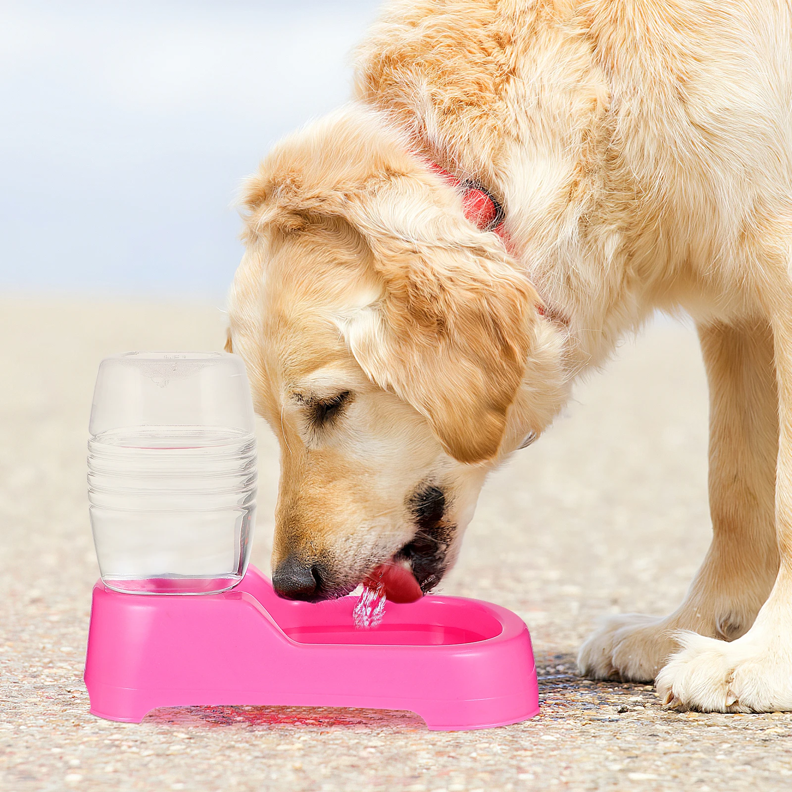 

Pet Water Feeder Durable Plastic 500ml Spill Proof Unique Design Automatic Dog Puppy Drinking Tool Pet Feeder Dog Drinking Tool