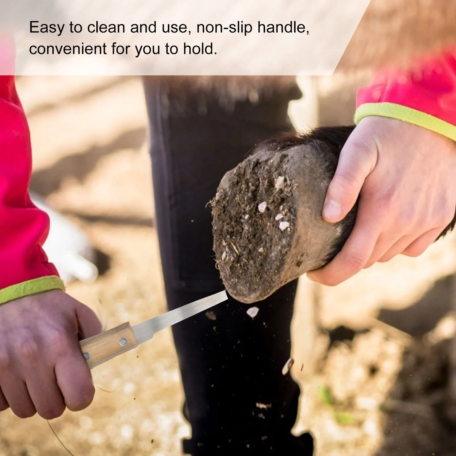 

2pcs Hoof Trimmer Stainless Steel Wood Handle Cattle Horse Sheep Foot Pruning Tool Farming Supplies Horseshoe Cutter