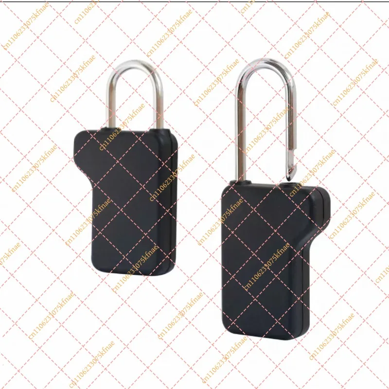 Small Anti-Theft Magnetic Padlock - Supermarket Retail Display Security Buckle & Clamp Lock