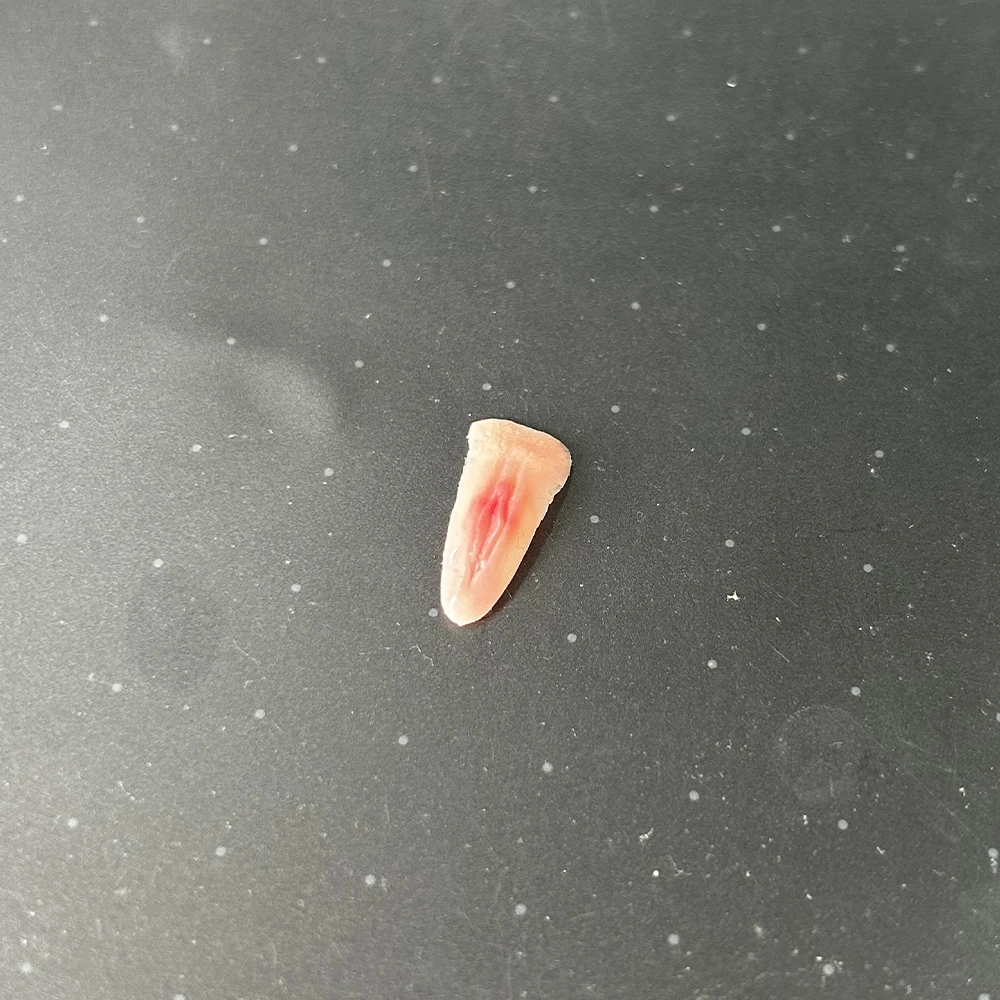 1/6 kobieca naszywka na piersi obszar intymny szczegóły fizjologiczne akcesoria do ciała Model pasuje do 12-calowego ciała figurki żołnierza