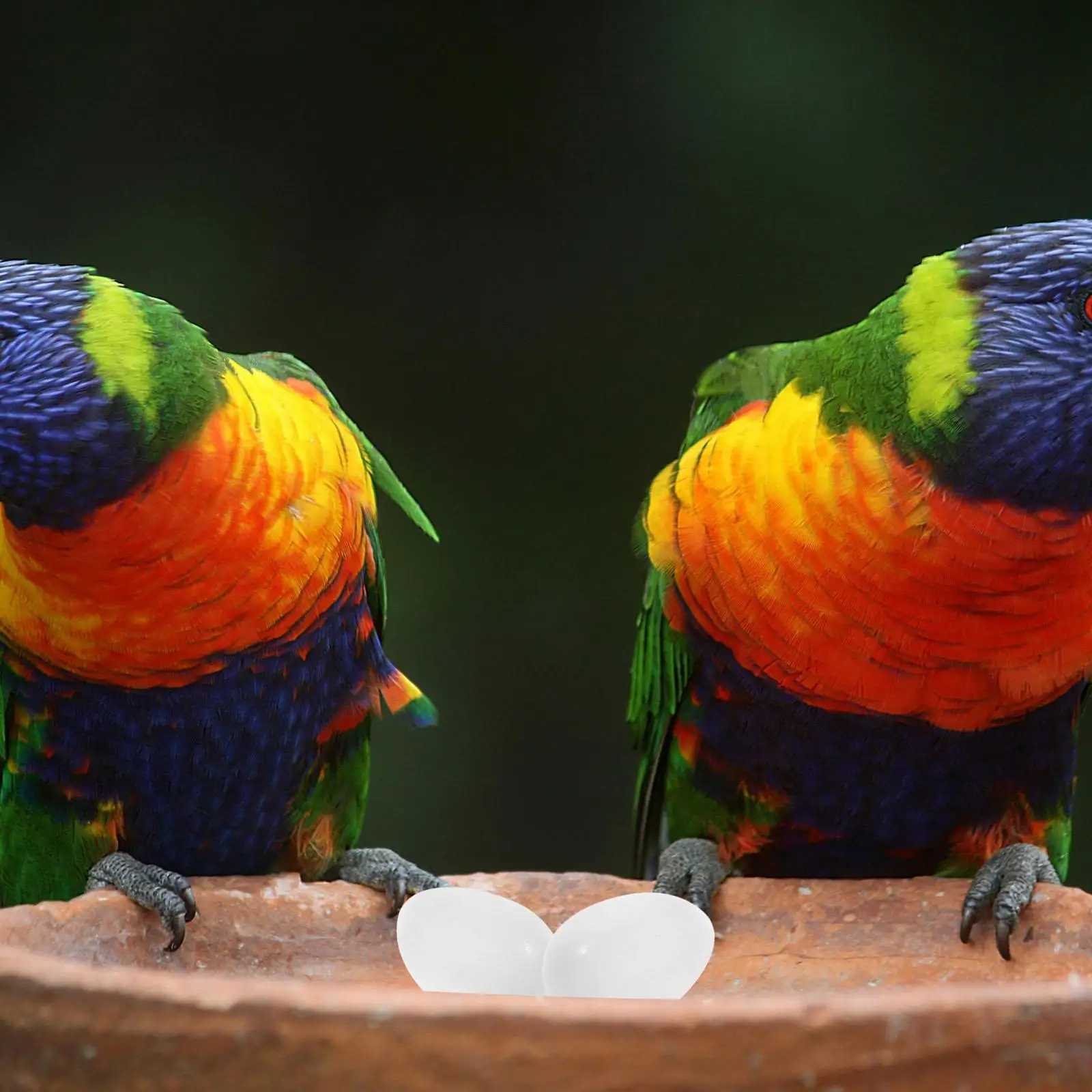 

30 Pcs Parrot Fake Eggs Dove Craft Bird Artifical Plastic Pigeon Hatching Aids Chicken