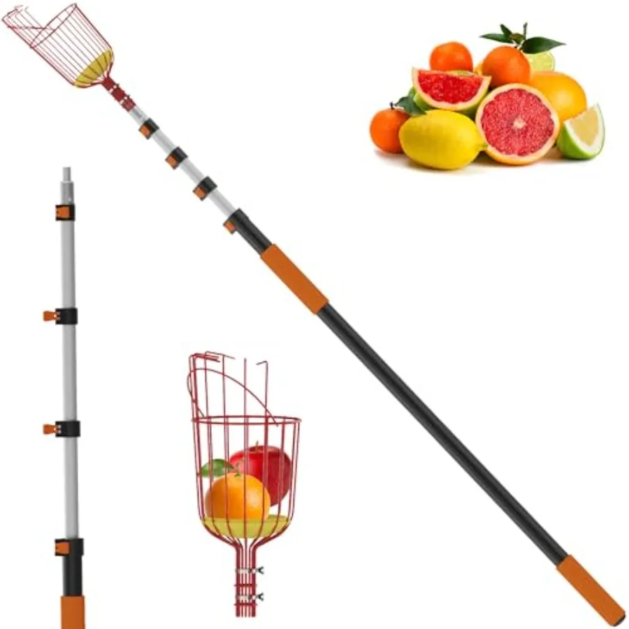 Palo recolector de frutas telescópico de 26 pies con cesta, de 5 a 20 pies, para recoger manzanas con mango largo telescópico