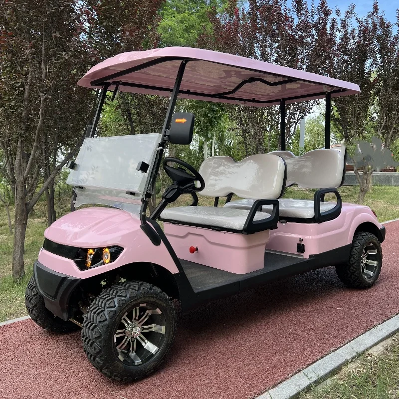 New 2 4 6 Seats Club Car Lead Acid Battery and Lithium Battery Golf Hunting Buggy Golf Cart Electric Sightseeing Trolley
