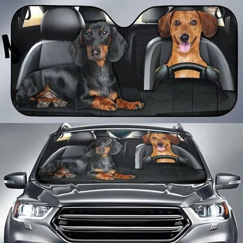 SH1394 Dachshund Dog Couple Driving Car Windshield Sun Shade (One Size)