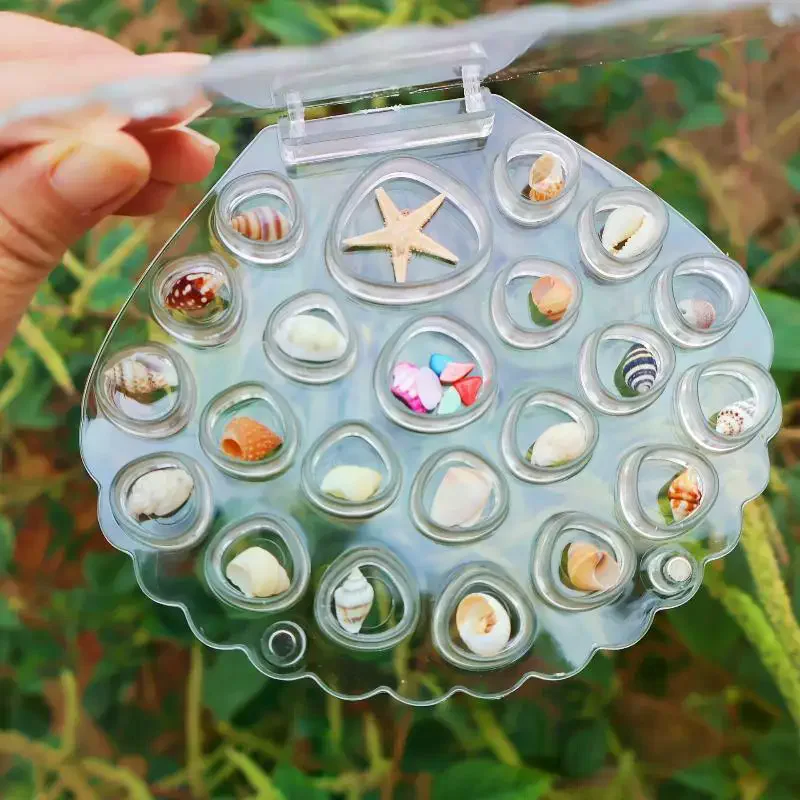 1 Set Transparent Sea Shell Display Cabinet Acrylic Shell Shape Storage Box Mini Beach Stone Decorative Storage Frame