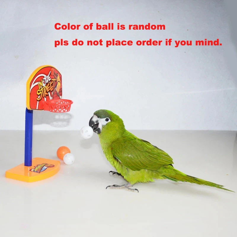 

Funny Parrot Birds Mini Basketball Hoop Basket, Parrot Toys, Parrot Intelligence Puzzle Game, Chew Toys, Pet Supplies