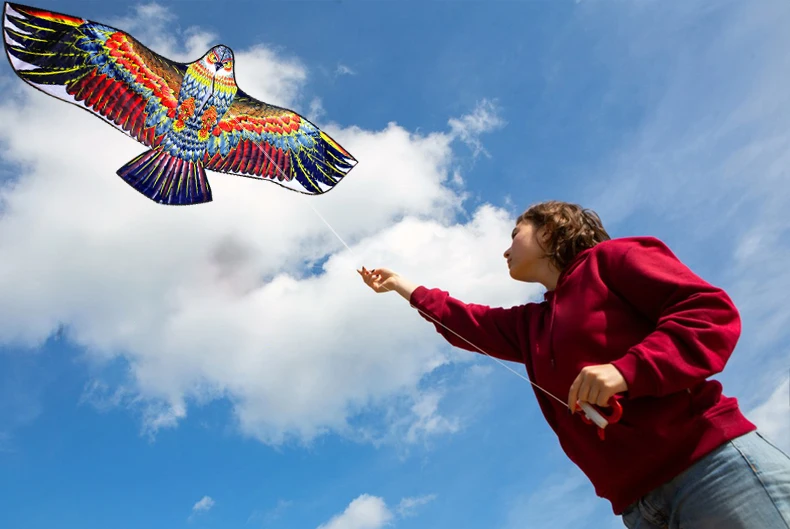 NEW Arrive Outdoor Fun Sports 1.6m Eagle Kite With Handle And Line Good Flying