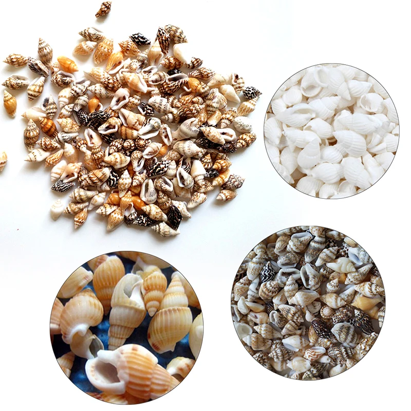100 Stück natürliches Handwerk kleine Muschel schale Aquarium Aquarium Dekoration Vase Füller für Home Party Hochzeit DIY Kerzen herstellung