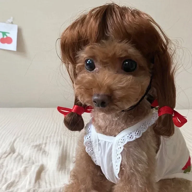 Pet Wigs Cosplay Props Dog Cat Cross-Dressing Hair Set Photography Funny Props Head Accessories Prank Pet Supplies Costumes DIY