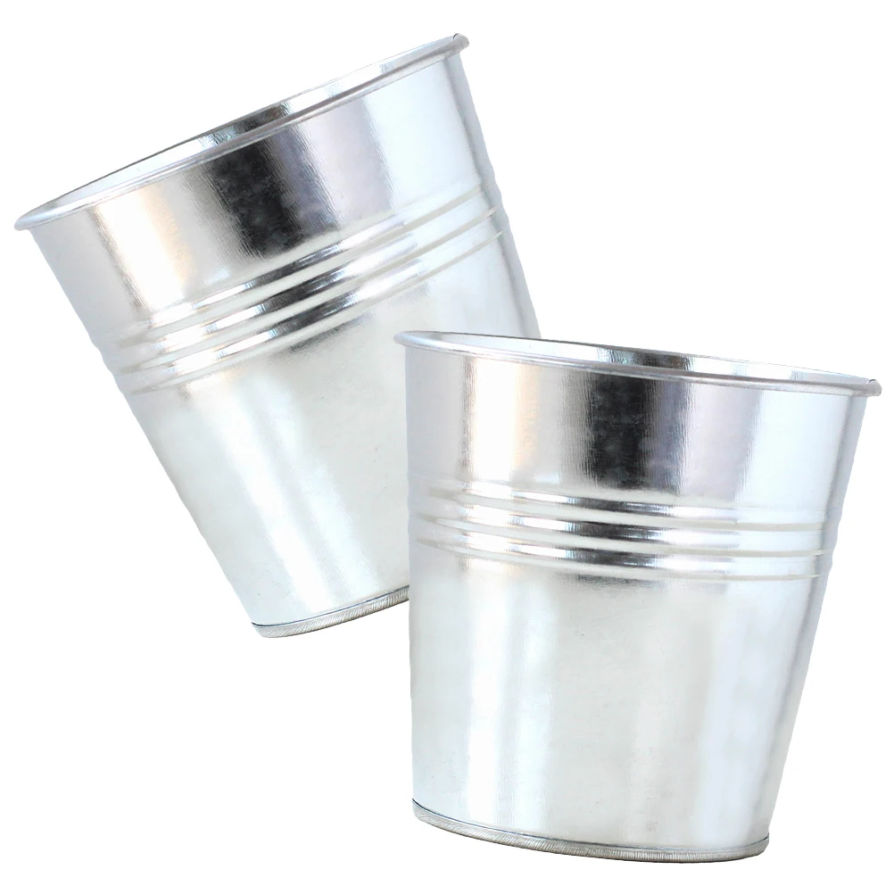 

2 Pcs Succulent Flower Bucket Metal Planters Small Iron Pots Office Desk Balcony Retro Planter Container