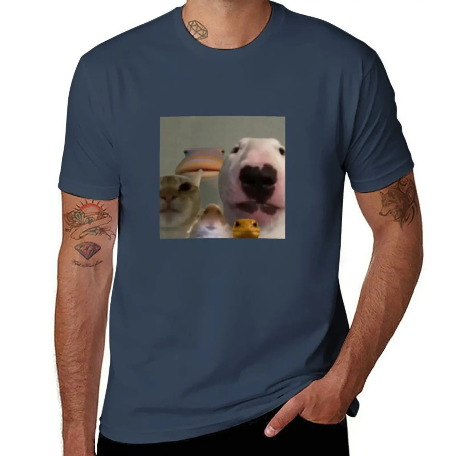 Walter And Friends …
