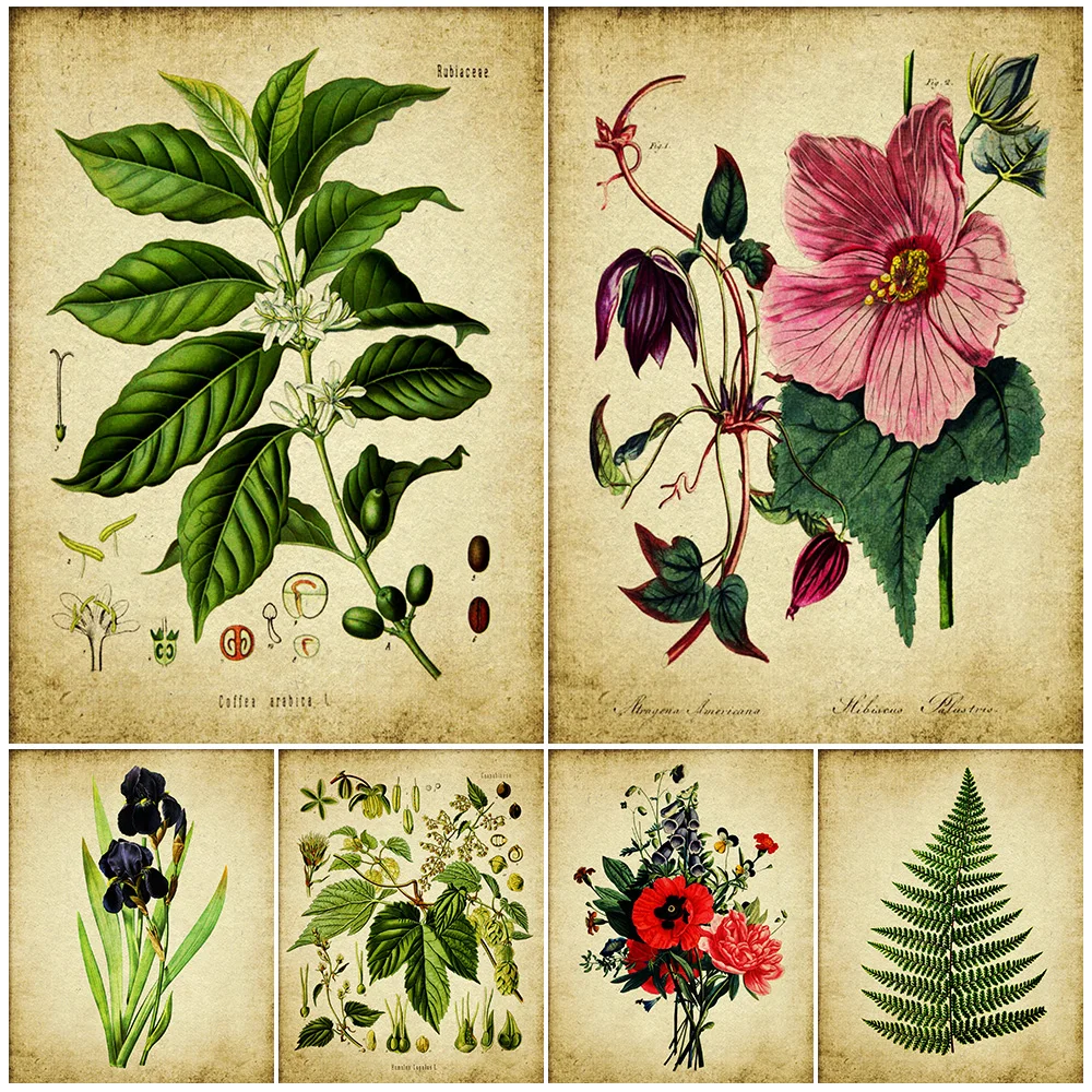 Pintura en lienzo de arte de pared Vintage, flor de Magnolia, rosa, helecho, lúpulo, botánico antiguo y planta de jardín, póster artístico impreso, decoración del hogar