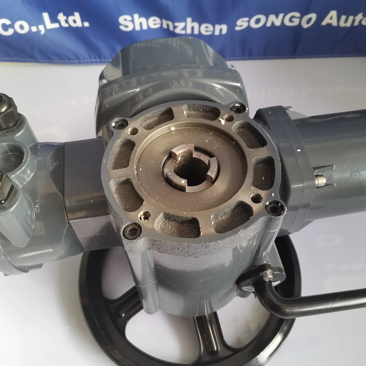 AC380V AC440V AC660V ثلاث مراحل ذكي تعديل 4-20ma Ip67 1200NM 2000NM المحرك الكهربائي المتعدد مع علبة التروس
