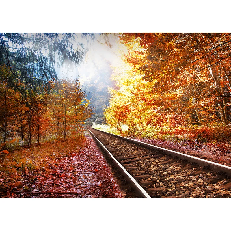 SHENGYONGBAO Art Fabric Train Track Landscape Photography background Portrait Photo Background Studio Props  211015 HCGD-02