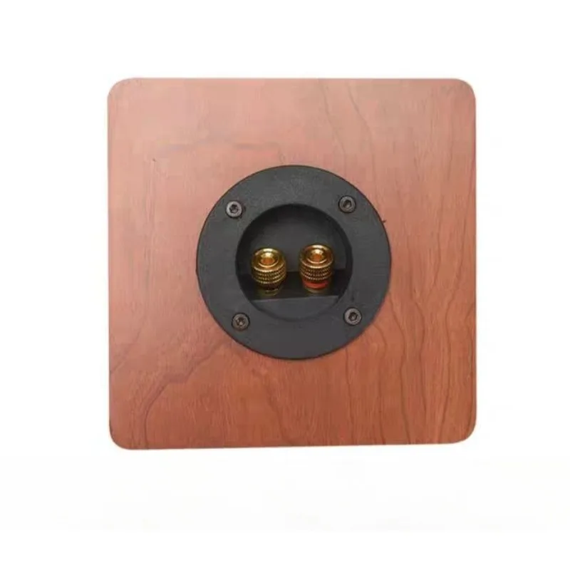 KYYSLB الدقة DIYLIVE عالية الدقة 4 بوصة فيلم الحرير مكبر الصوت وحدة مكبر الصوت الخارجي TS-B1S