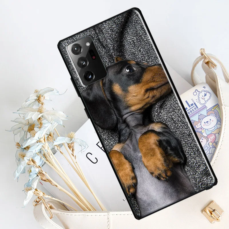 Cute Dachshund Teckel Dackel Dog Silicone Case For Samsung Galaxy S23 S8 S9 S10 S20 FE S21 Plus Note 20 Ultra S22 Ultra Cover