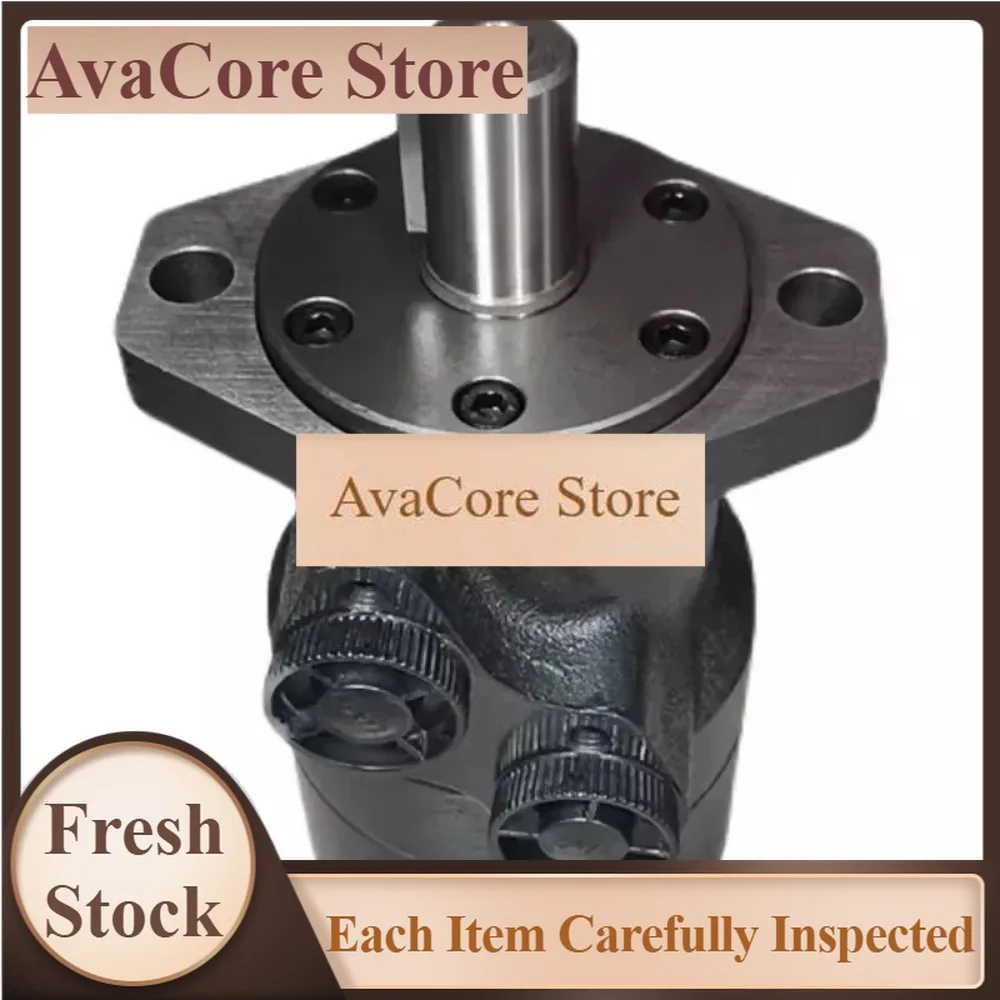 AvaCorePremium Products Hydraulic Oil Motor Mold Cycloidal RMR-BMR-50 80 100 125 160 200 250 315 Two Holes