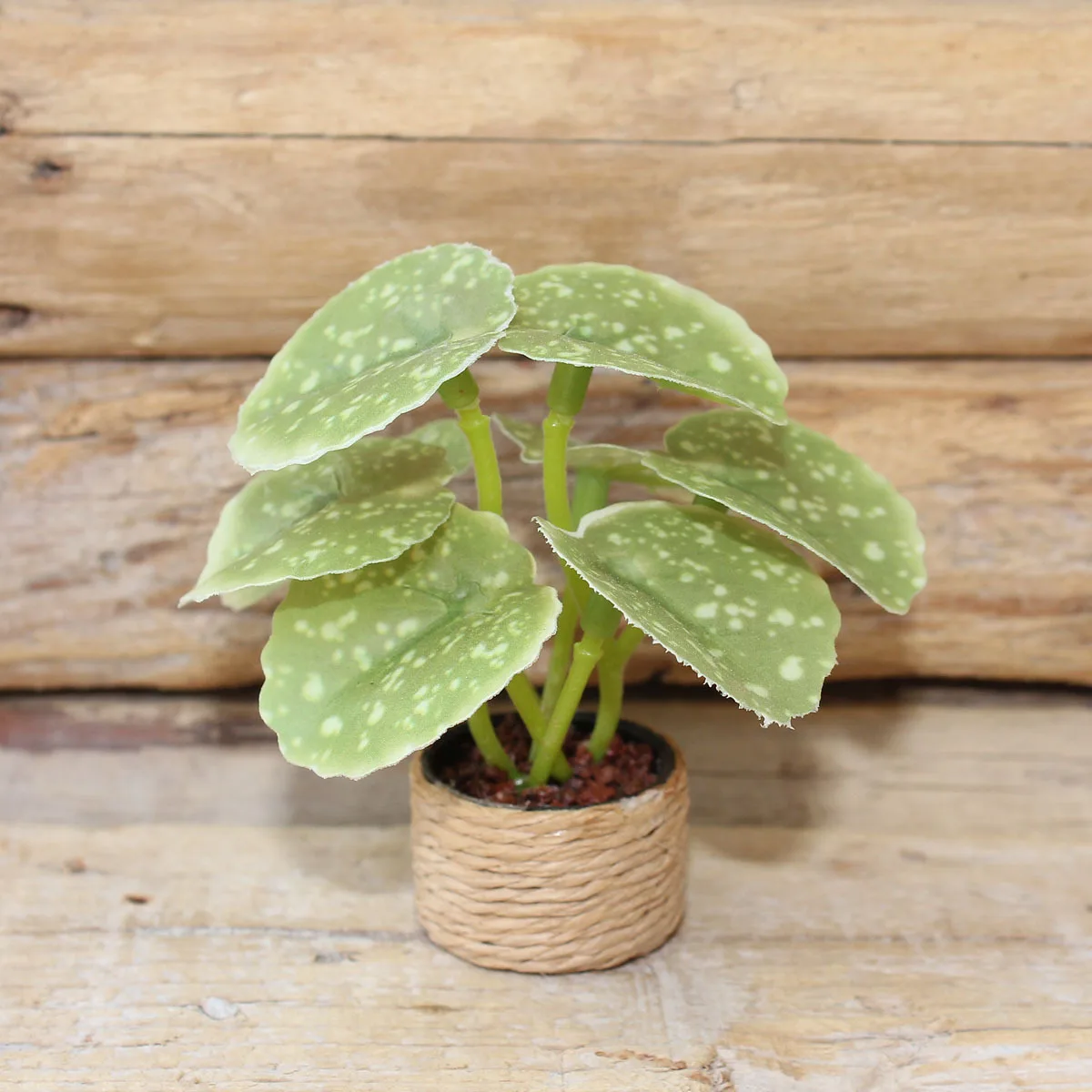 Mini Künstliche Quitte Kreative Kleine Blumentopf Pflanze Modell Miniatur Spielzeug Landschaft Puppenhaus DIY Dekorationen Puppe Zubehör