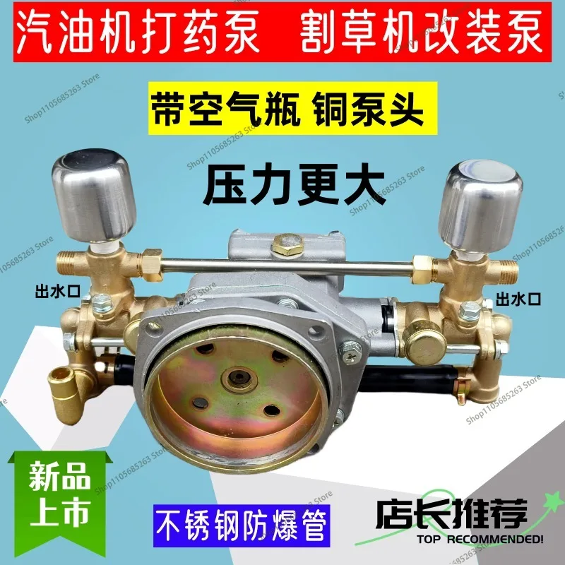 Sprayer Pump for 2-4Stroke Engine Standard Brass Pump with Grease Cup Spraying Knapsack Power Pump Head