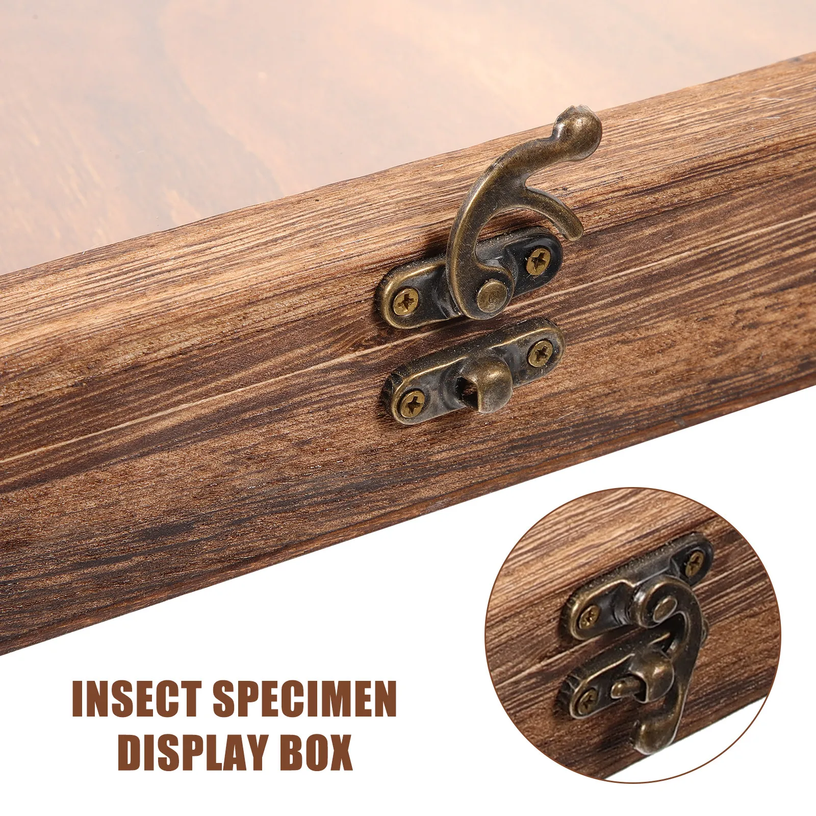 Display Frame for Photos, Halloween Decor