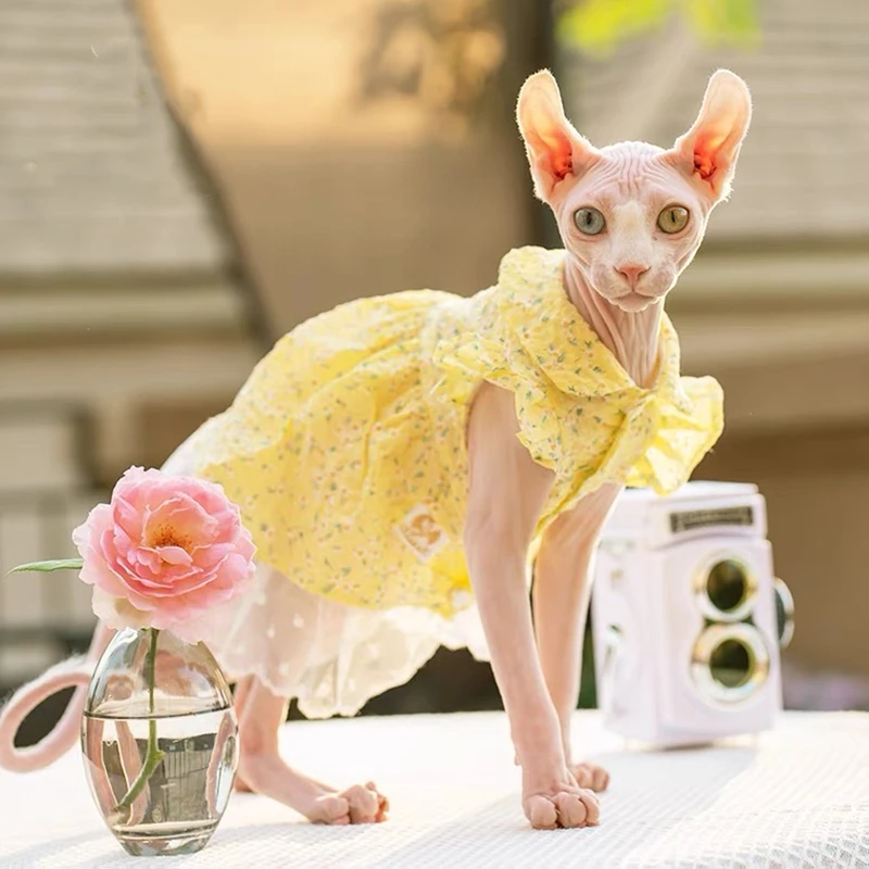 Sphinx Pet Cat Princess Clothes Black Dresses For Sphynx Lace Floral Kitten Suspender Skirt Elegant Costume Devon Spring Summer