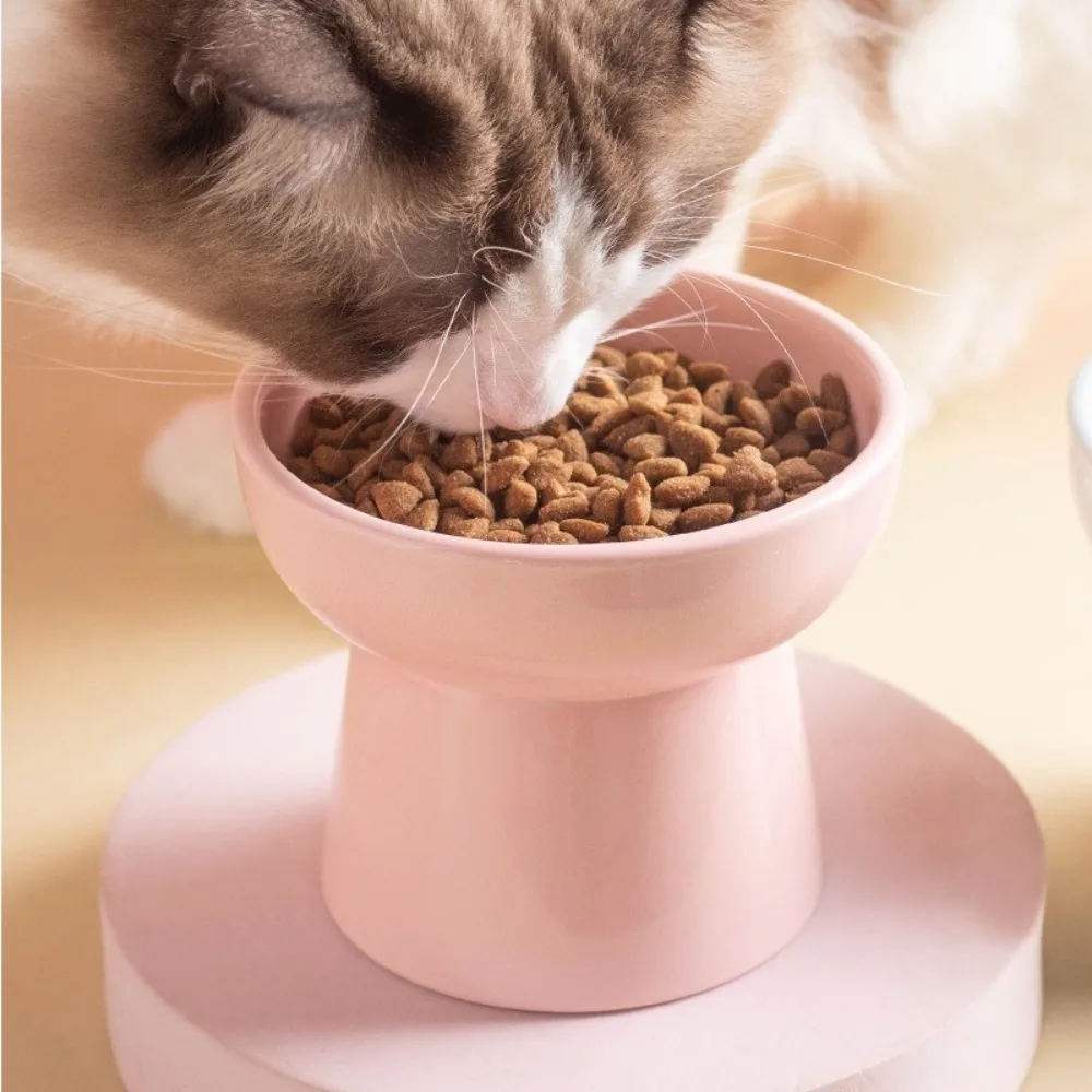 Thumbnail 4 - #13 Trending Elevated Cat Feeding Bowls Right Now
